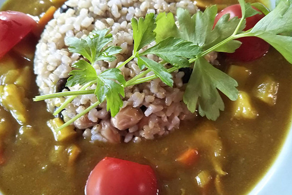 薬膳野菜カレー(Vegan･gluten･dairy･additive-free)